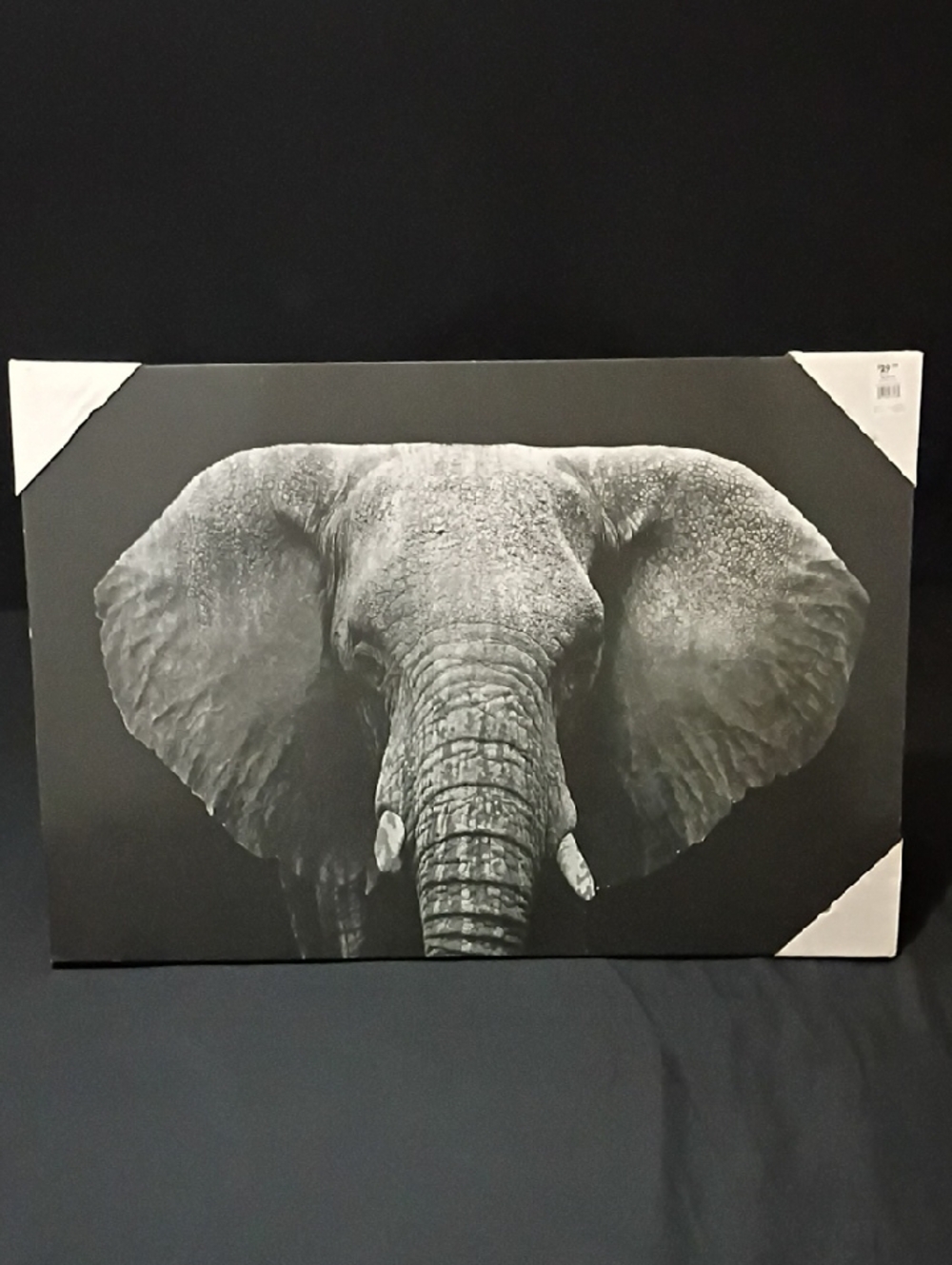 Black & White Elephant Canvas Wall Art